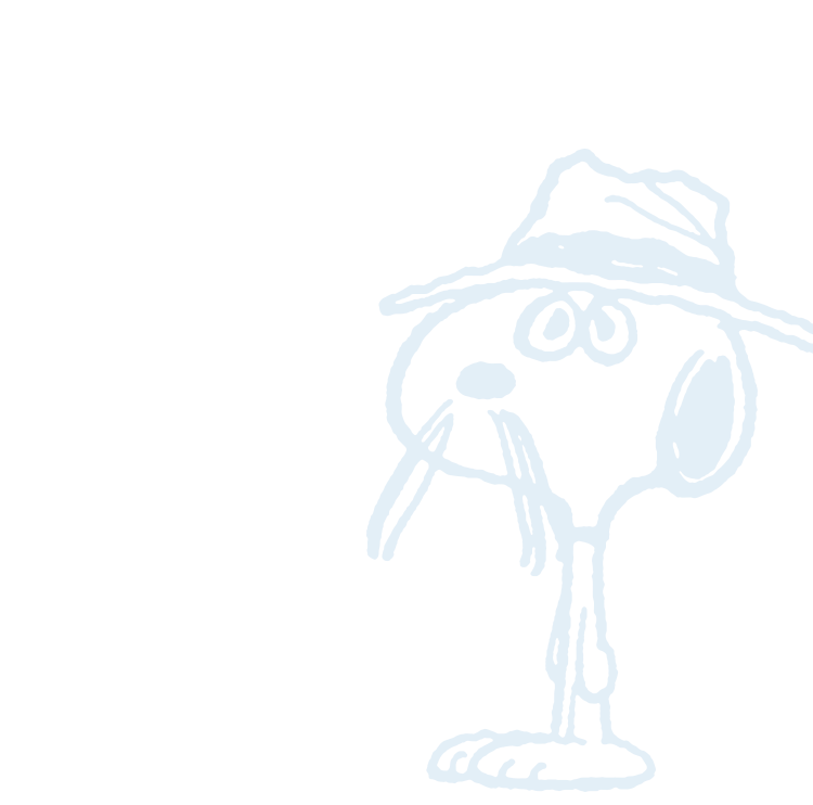 スパイク