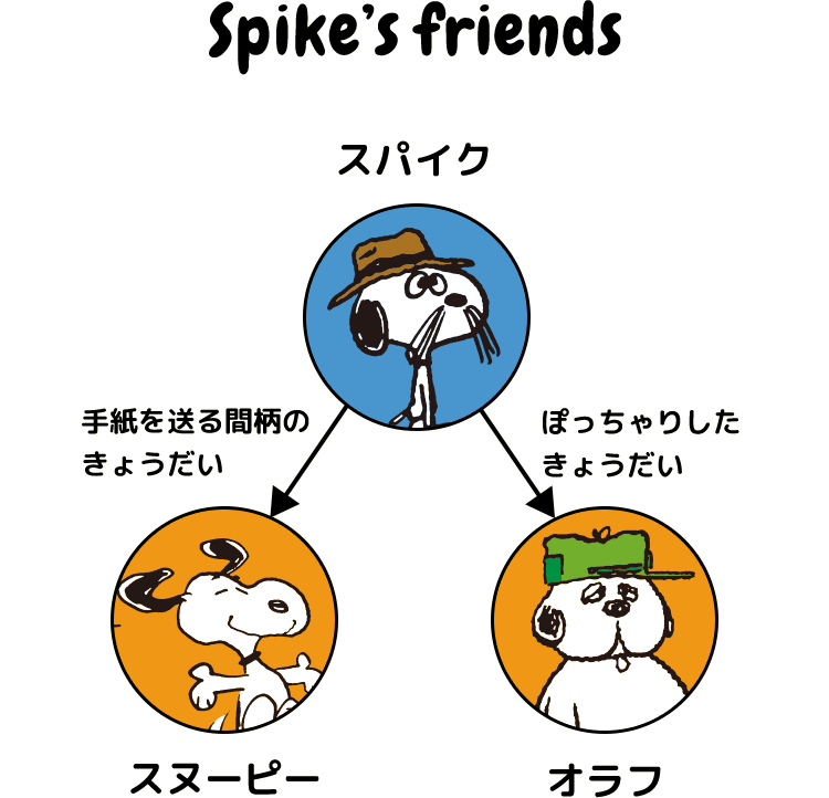 スパイク